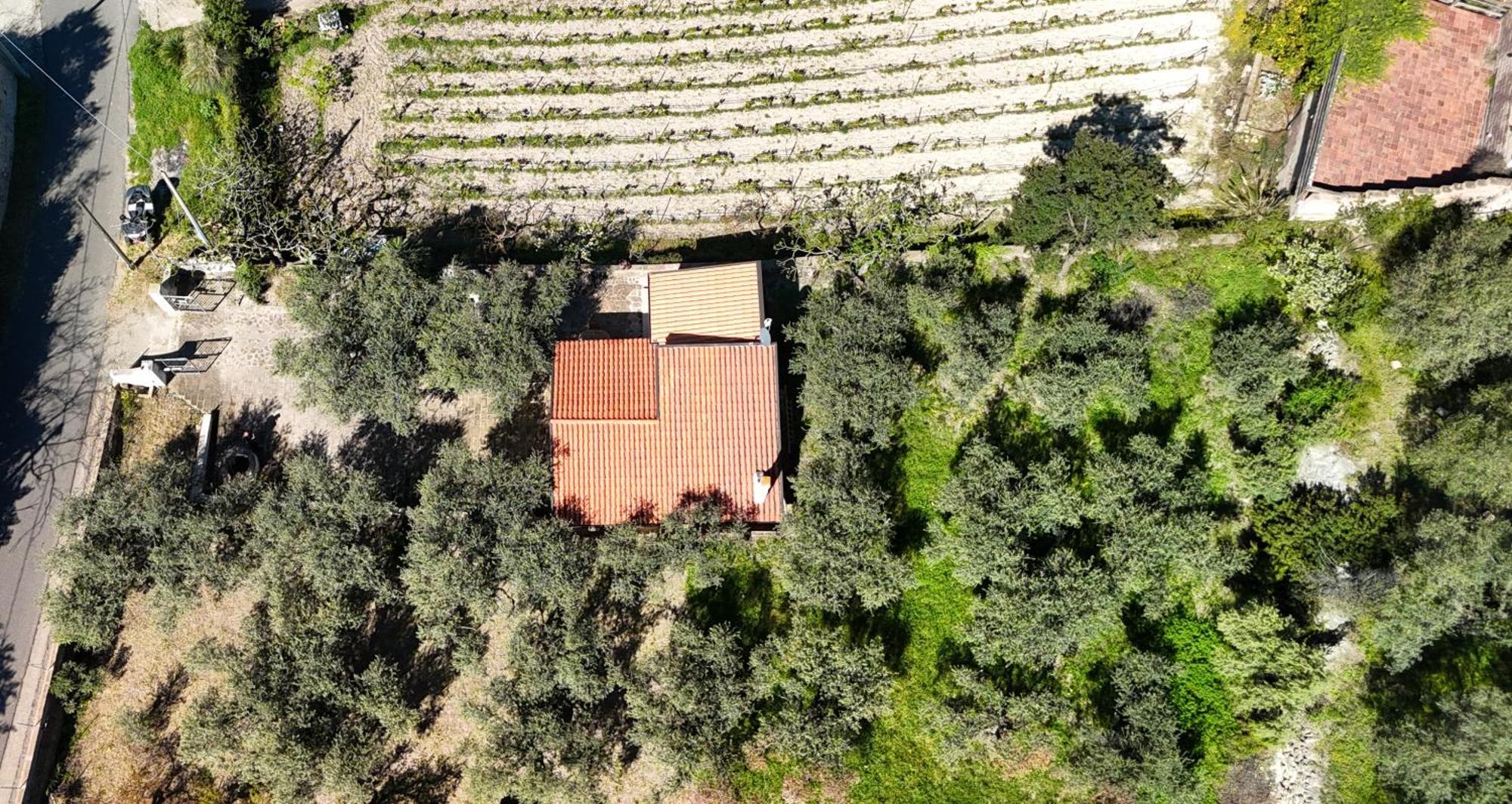 Welcomely - Badde Nuraghe Dimora Vista Mare Con Parcheggio Privato 마고마다스 외부 사진